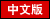 Chinese version of visa shanghai